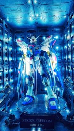 PG ストライクフリーダムガンダム　完成品 PG 1/60 ストライクフリーダムガンダム｜バンダイ ホビーサイト