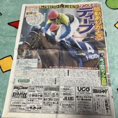 有馬記念 ディープインパクト Sサイズ 限定品 ラストラン仕様