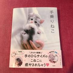 手乗りプチ猫?中古激レア8.5cm 手乗りプチ猫?中古激レア8.5cm