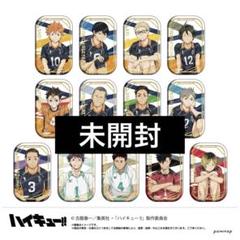2025年最新】ハイキュー セブンネット スクエア缶バッジの人気