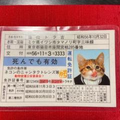 なめねこ 免許証の中古 未使用品を探そう メルカリ なめねこ 免許証の中古 未使用品を探そう メルカリ