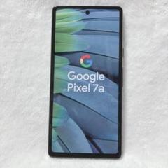 m26051439155_1.jpg?1724079962