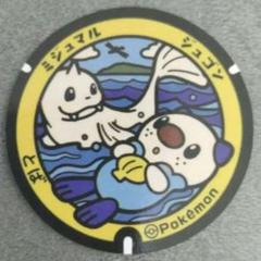 2025年最新】ミジュマル＃ツタージャ＃ポカブの人気アイテム