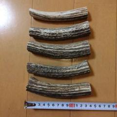 M7アクセサリー　【まとめて５本】　北海道　エゾシカ　鹿角　鹿の角　素材　ハンド