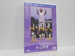 Amazon.co.jp: 矢山式気功法 小周天 [DVD] : 矢山利彦: DVD