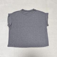 Mサイズ　Tシャツ レディース 半袖 ショート丈 ラウンドネックフレンチスリーブ