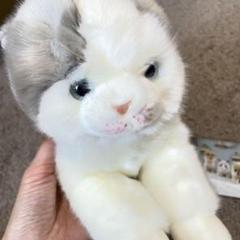 20インチ ブリティッシュショートヘア 青い猫 ぬいぐるみ CU-MATE