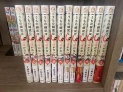 うちの師匠はしっぽがない　全巻セット