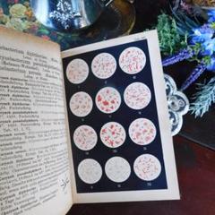 ゜+1919年 珍しい細菌学の古書 ドイツ アンティークブック