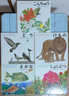 【相笠昌義】夏冬・こども図 P0号✕2枚 直筆サイン 額入り 相笠昌義】夏冬・こども図 P0号✕2枚 直筆サイン 額入り - メルカリ