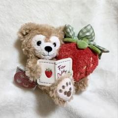 ♡ハートフェルトストロベリーギフト♡ぬいぐるみバッヂとチャーム♡タグ、値札付き♡ ♡ハートフェルトストロベリーギフト♡ぬいぐるみバッヂと