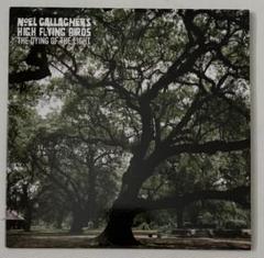 Noel Gallagher's High Flying Birds