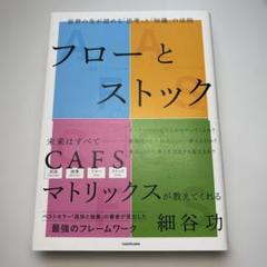 フローとストック　細谷功