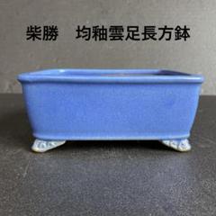 盆栽鉢　長方鉢　雲足　ヴィンテージ盆栽鉢 紫泥外縁雲足長方鉢 | 盆栽、盆栽書籍、盆栽鉢の通販│近代出版
