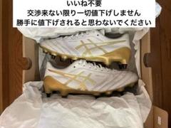 特注品 asics DSライトX-FLY4SG 24.5cm モレリア F50