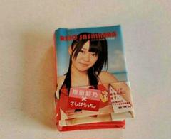 AKB48　指原莉乃　ミニ写真集　ぷっちょ