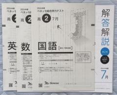 ベネッセ総合学力テスト 高2（7月,11月）