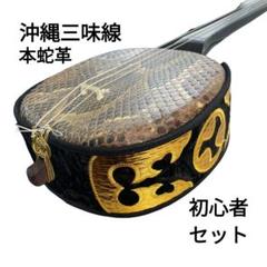 紫檀三味線　両面皮破れなし　ソフトケース付き 小唄三味線（特上・紫檀）セット（B）長ケース付き : 和楽器市場
