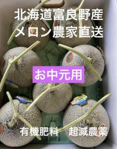 北海道 富良野メロン 赤肉 4〜7玉 有機肥料 超減農薬 農家直送