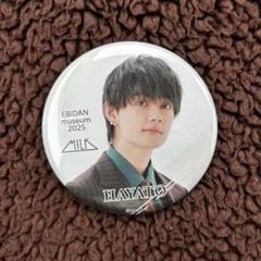 佐野勇斗くん缶バッチ キーホルダー MiLK 佐野勇斗 エビライ 2025 ネームバッチ アクリル