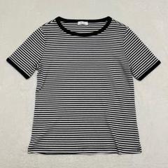 INOLVE イノルブ◇リブTシャツ ストライプ カットソー 半袖 トップス F