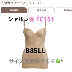 シャルレボディシェパー　FC151 C85LL シャルレボディシェパー FC151 C85LL