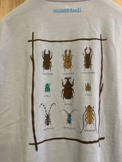 2025年最新】昆虫図鑑Tシャツの人気アイテム - メルカリ