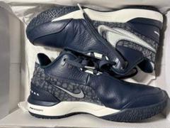 NIKE レブロン NXXT GEN AMPD 27cm