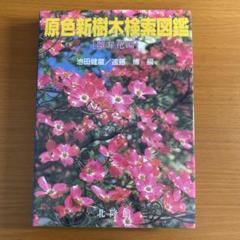 原色新樹木検索図鑑 離弁花編 | 池田 健蔵, 遠藤 博 |本 | 通販