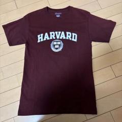 2025年最新】ハーバード大学 tシャツの人気アイテム - メルカリ