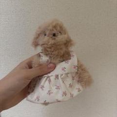メアリーホルスダッド花柄ドレスのベージュぬいぐるみ 天官賜福アニメ minidoll Q babyぬいぐるみ（錦繍繁花）【お