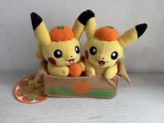 ペアピカチュウとえひめみかん　ぬいぐるみ　愛媛みかん　えひめみかん　愛媛　えひめ ポケットモンスター ポケモン ペアピカチュウとえひめみかん