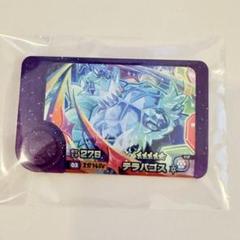 【新品未使用】ポケモン ジャンパー 限定 テラパゴス ポケモンドールズ テラパゴス(ノーマルフォルム) ｜【公式