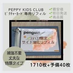 【ペッピーキッズ】専用　ファイル追加、背表紙なし ペッピーキッズ】専用(ファイル＋1冊、背表紙なし)