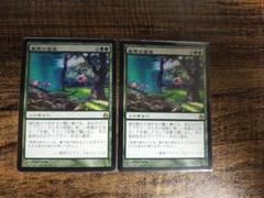 風景の変容　日本語　2枚セット　mtg モーニングタイド