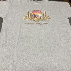US古着！Ocean City, MD Tシャツ　フルーツオブザルーム