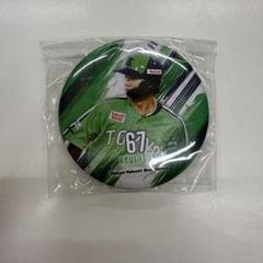 東京ヤクルトスワローズ 伊藤選手