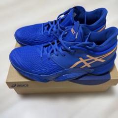 アンプレアルス 28cm 2025年最新】asics アンプレアルス 28cmの人気アイテム - メルカリ