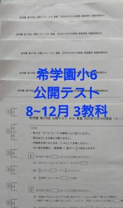専用2024年希学園 小6 公開テスト 国語、理科1年分 希学園 小2最高レベル国語 復習テスト1年 2024年度 - メルカリ