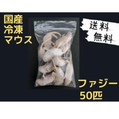 2025年最新】冷凍マウスの人気アイテム - メルカリ