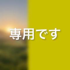 専用おまとめ【願いが叶う 幸運招福 九谷焼】ゆっきー 招き猫 マトニャシカ 専用おまとめ【願いが叶う 幸運招福 九谷焼】ゆっきー 招き猫
