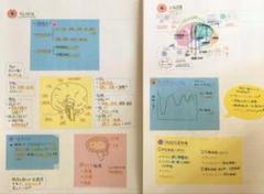 2025年最新】看護師国家試験付箋ノートの人気アイテム - メルカリ
