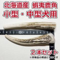 2025年最新】鹿の角の人気アイテム - メルカリ