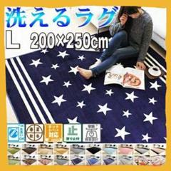 お買い得❗洗える ラグ マット ホットカーペット 対応 Lサイズ❗