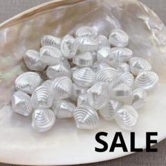 es137/SALE！シェルパール◇貝殻つやあり詰め合わせ