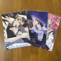 ［BL］とらのあな BLコミックフェア ミニブランケット まとめ売り BL］とらのあな BLコミックフェア ミニブランケット まとめ売り