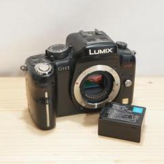2025年最新】lumix gh1の人気アイテム - メルカリ