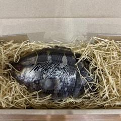 デプス　リューギ　ブルシューター　スタジオコンポジット　DRT アカメ デプスリューギブルシュータースタジオコンポジットDRT アカメ