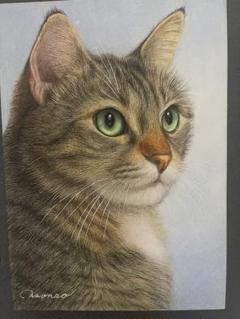 色鉛筆画 A4キジトラ68 正規品販売！ 全品送料無料】 色鉛筆画 A4キジトラ68 絵画