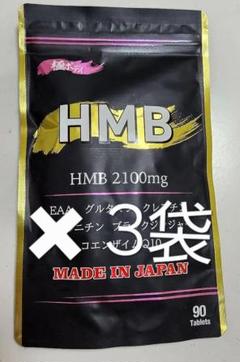 HMB サプリ 極ボディ 3袋 HMB極ボディ 新品 未開封 極 ボディ 筋トレ 賞味期限間近】【2袋 180粒 約2ヵ月分】国内製造『極ボディ HMB